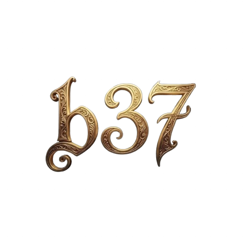 b37 Logo